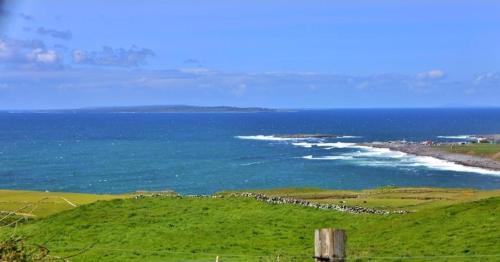 un rebaño de ovejas en una colina de hierba cerca del océano en The Cliffs of Moher Holiday House en Doolin