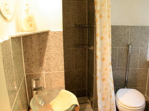 a bathroom with a shower with a toilet and a sink at Ferienwohnung Altes Haus 1 in Lindau