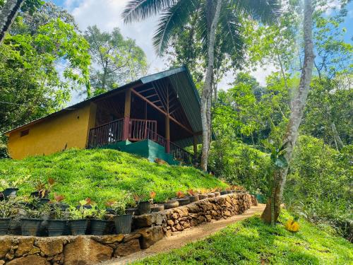 a house on top of a hill with trees at The Rainforest Hideaway in Deniyaya