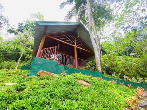 a small house on top of a grassy hill at The Rainforest Hideaway in Deniyaya