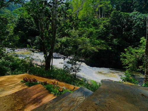 a view of a river with trees in the background at The Rainforest Hideaway in Deniyaya