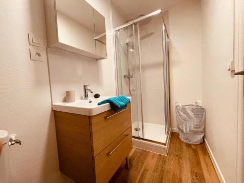 une salle de bain avec un lavabo et une douche dans l'établissement Le petit Gervais - 289, à Rouen