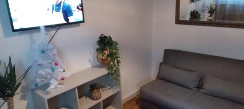 a living room with a christmas tree and a couch at The Woodlands apartments 1 in London