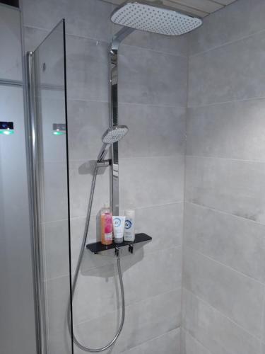 a bathroom with a shower with a shower head at Koivuniemen Tila 3 in Säkylä