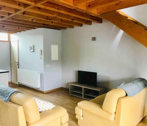 Sjónvarps- og/eða afþreyingartæki á Duplex avec superbe vue boisée