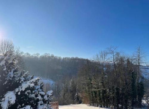 uma árvore coberta de neve com uma montanha ao fundo em Duplex avec superbe vue boisée em Esneux