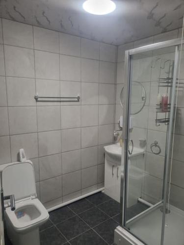 a bathroom with a toilet and a glass shower at 1 Bedroom Apartment in Daventry