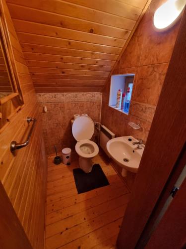 a small bathroom with a toilet and a sink at Chata Hrabovo in Ružomberok