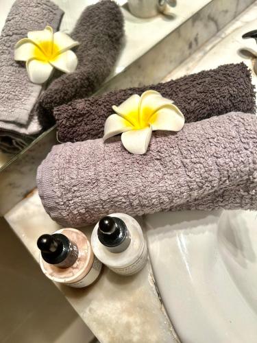 deux serviettes avec des fleurs dessus sur un lavabo dans l'établissement Luxurious Studio in NICE 450 m of the sea, à Nice