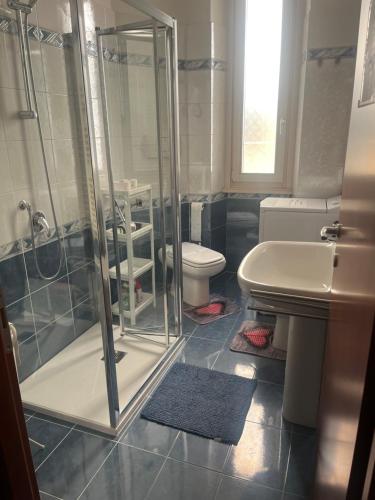 a bathroom with a shower and a toilet and a sink at Rosy Apartment Rome in Rome