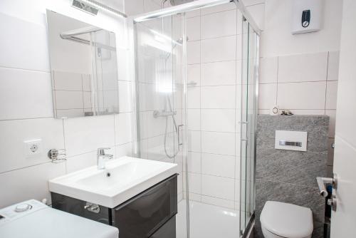 a bathroom with a shower and a sink and a toilet at Moderne Wohnung mit großer Terrasse in erster Reihe am Deich, Wallbox, Kajak in Schönberger Strand