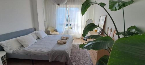 - un salon avec un lit et une grande plante dans l'établissement Apartamento con suite, zona de trabajo y yoga wifi y garaje, à Castro Urdiales