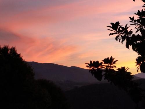 un coucher de soleil dans les montagnes avec une silhouette d'arbres dans l'établissement ARBI'ZEN ,appartement Bagnères de Bigorre, domaine golf de la Bigorre, vue exceptionnelle sur la chaine des Pyrénées, à Bagnères-de-Bigorre
