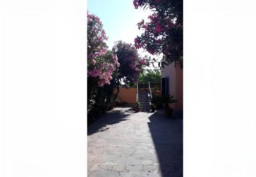 a walkway with flowering trees and a building at Sabrina Airport in Fiumicino