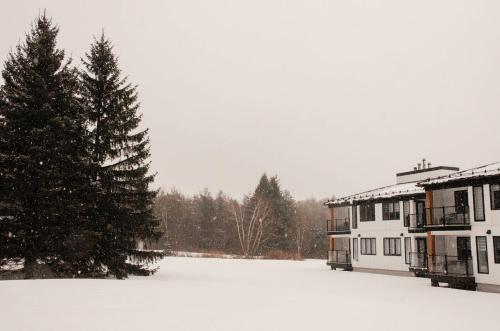 a snow covered yard with a house and a pine tree at Suite 110 - Destination Mont-Orford in Magog-Orford