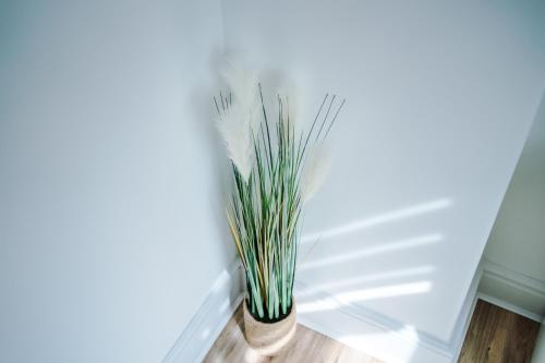 a potted plant sitting on the floor next to a window at The Retreat near Salford Quays in Manchester