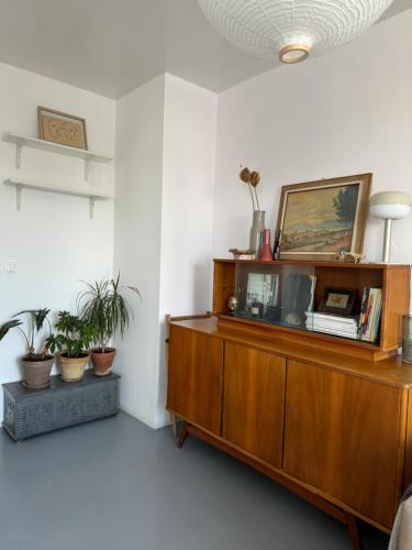salon z drewnianą szafką i roślinami w obiekcie Saperówa w Poznaniu