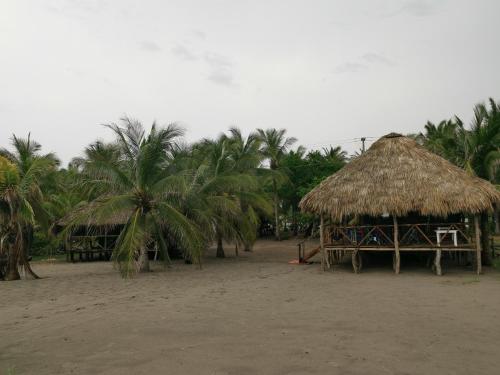 a group of huts on a beach with palm trees at Cabañas Casa de Agua in Boca del cielo