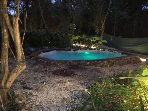 una pequeña piscina con luces en un patio por la noche en Cozumel Glamping, en Cozumel