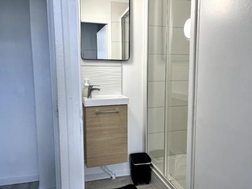 une salle de bain avec un lavabo, un miroir et une douche dans l'établissement Studio Petit Colombel 2pers Quartier St Felix, à Nantes
