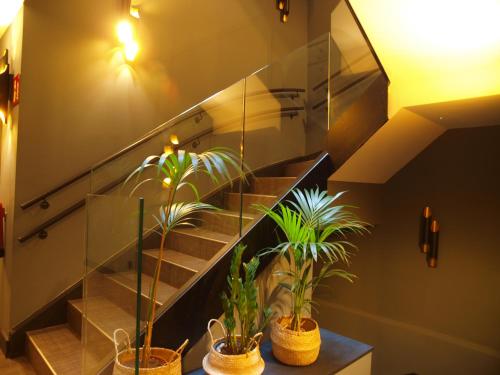 a staircase with potted plants in a room at M&UGA Hotela in Elorrio