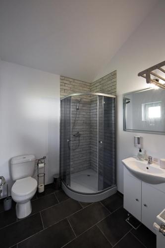 a bathroom with a shower and a toilet and a sink at Căsuțele Gemenii in Blidireasa