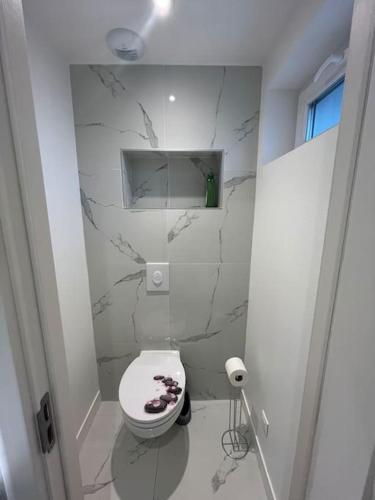 a bathroom with a toilet with a marble wall at Appartement T2 calme à Illkirch in Illkirch-Graffenstaden