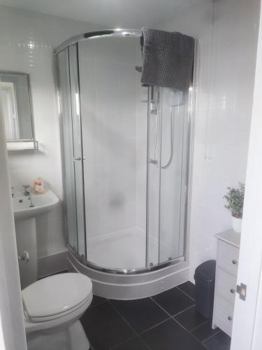 a bathroom with a shower with a toilet and a sink at Mulberry Holiday Home in Great Yarmouth