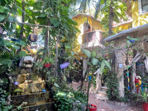 a garden with a bunch of plants and trees at Maison Tulum in Tulum