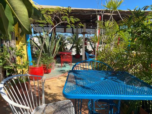 a blue table and chairs in a garden at Maison Tulum in Tulum