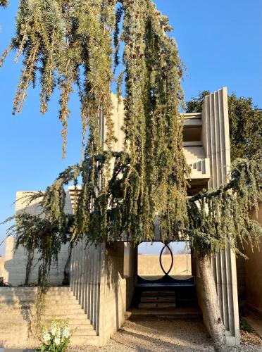 a tree in front of a building with a peace sign at Residence19ilborgo in Asolo