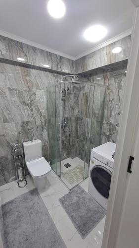 a bathroom with a shower and a toilet and a sink at AIRPORT 24&24 CAR PARKING in Chişinău