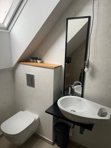 a bathroom with a sink and a toilet and a mirror at Apartmánový dům Jánský sen in Janske Lazne
