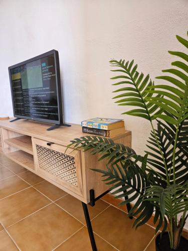 een televisie bovenop een houten bureau met een plant bij Las Torres del Castillo 105 in Costa de Antigua