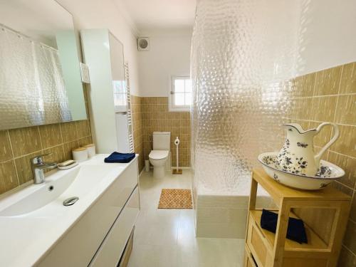 La salle de bains est pourvue d'un lavabo et d'une douche avec un vase. dans l'établissement Superb renovated apartment with sea view for 5, à Cagnes-sur-Mer