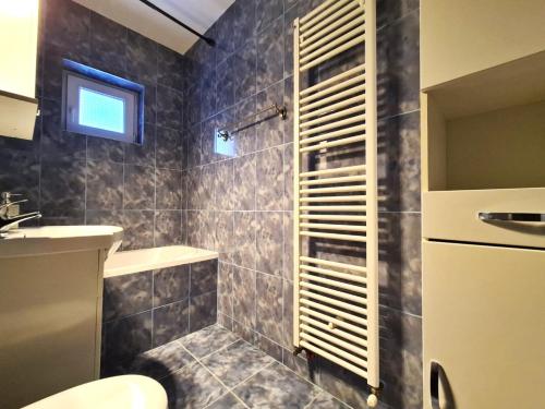 y baño con ducha, aseo y lavamanos. en Apartament Giulio, en Sibiu