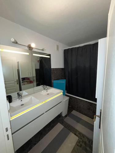 une salle de bain avec un lavabo et un grand miroir dans l'établissement Appartement, à Toulouse