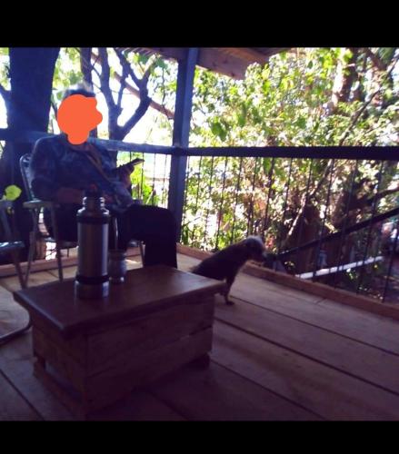 a person sitting in a chair watching a cat on a porch at Cabaña dos pisos in Artigas