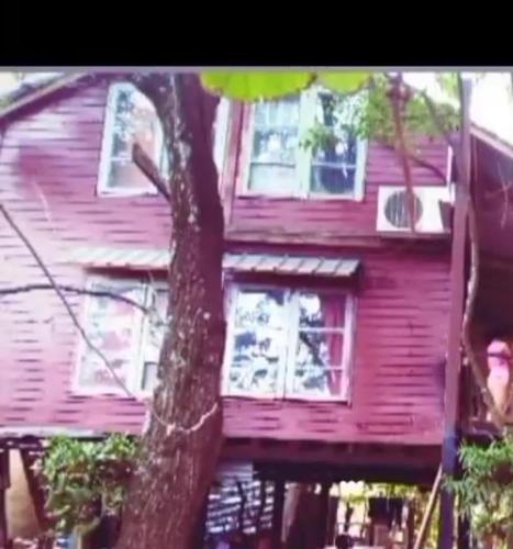 a pink house with a tree in front of it at Cabaña dos pisos in Artigas