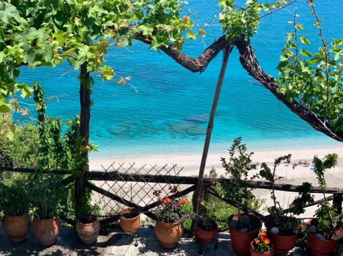 a view of the beach from a fence with potted plants at Daenerys Home in Agios Ioannis Papa Nero in Agios Ioannis Pelio