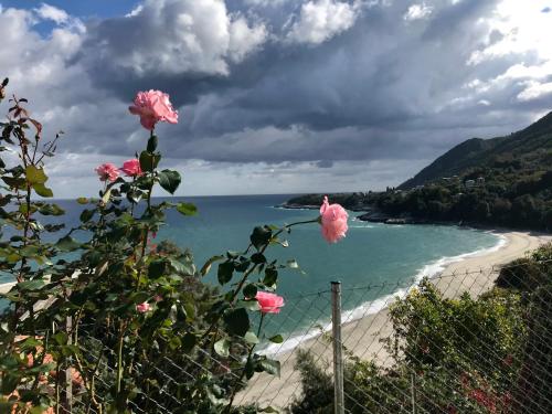 a view of a beach with pink flowers at Daenerys Home in Agios Ioannis Papa Nero in Agios Ioannis Pelio