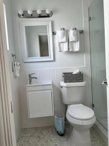 a bathroom with a toilet and a sink and a mirror at EBBTIDE INN in St Pete Beach