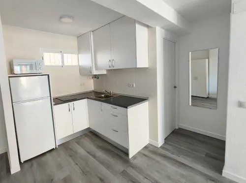 BLUE&GREY OCA Holidays apts photo 44