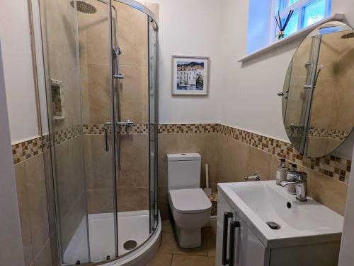 a bathroom with a shower and a toilet and a sink at Skipton House Annex in Thirsk