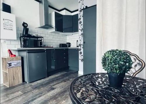 Η κουζίνα ή μικρή κουζίνα στο Orphelin studio avec Balnéo proche centre ville