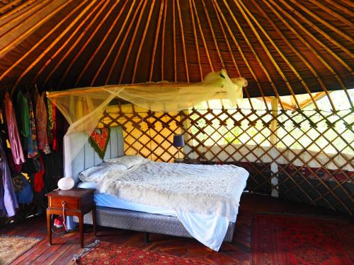 Легло или легла в стая в Tarzan Treetops