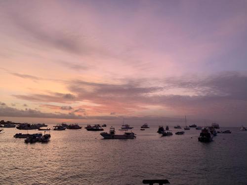 un grupo de barcos en el agua al atardecer en Apartamento Top House en Puerto Baquerizo Moreno