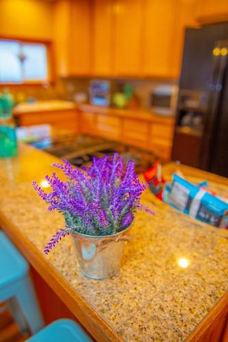 Η κουζίνα ή μικρή κουζίνα στο Cute Artsy7 Getaway, large parking, 20mins to OSU