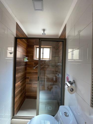 a bathroom with a shower and a toilet and a sink at Residencial Victoria Said in Linares
