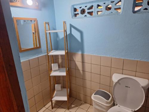 a bathroom with a toilet and a mirror at CASA VERO CAHUITA, A 100 M. DEL PARQUE NACIONAL in Cahuita